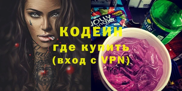 индика Пересвет
