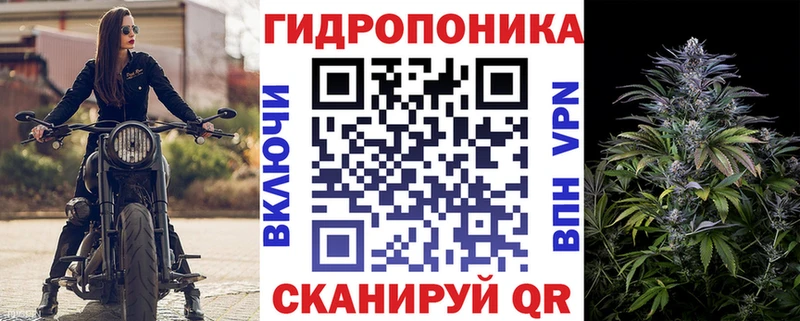 купить наркотик  Шатура  Марихуана тримм 